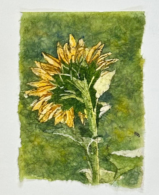 Sunflower's Secret Reverie